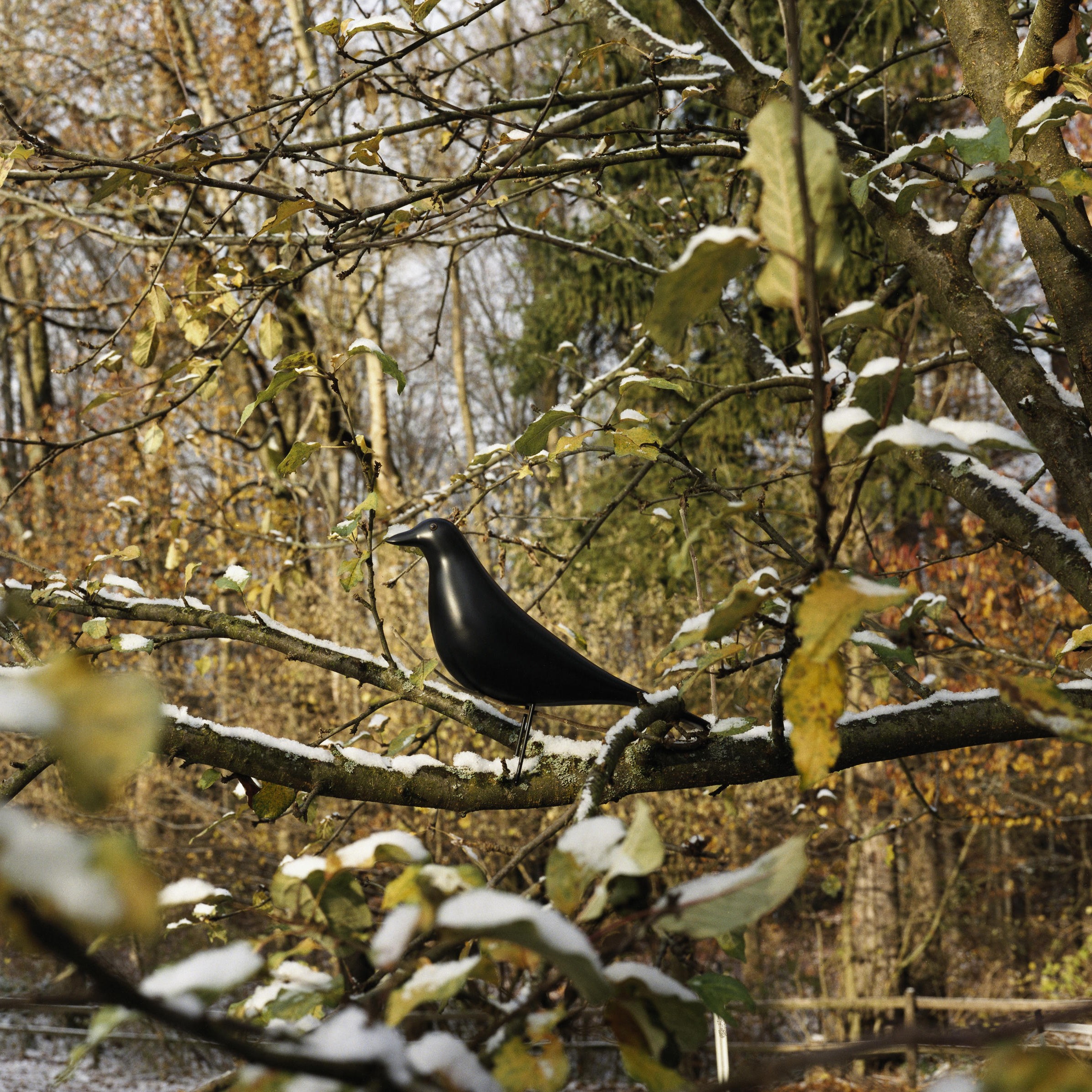 Eames House Bird