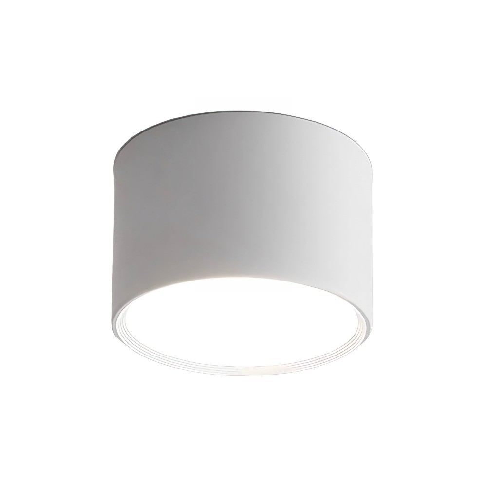 LED Ceiling Light