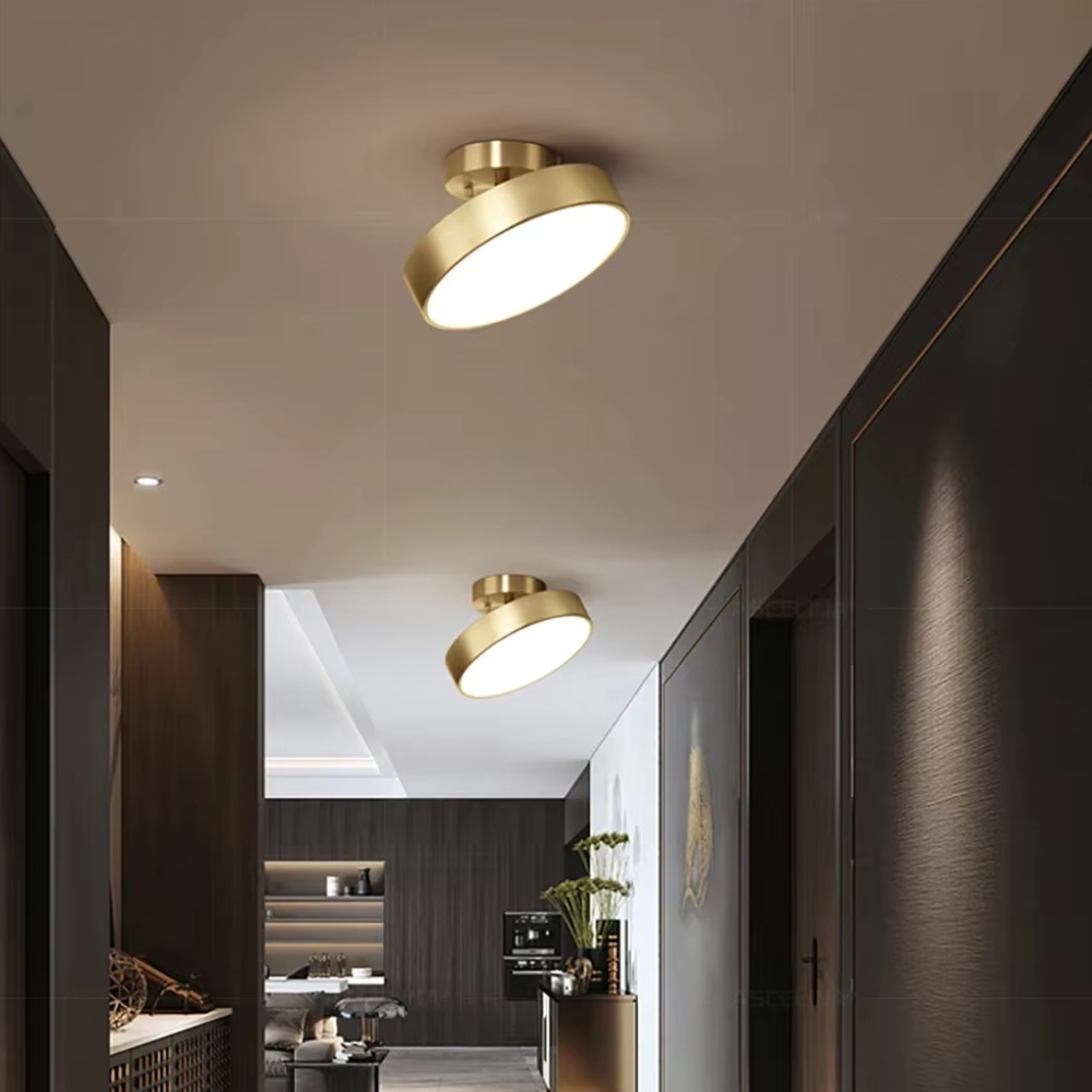 Celestial Luminary Ceiling Light D910