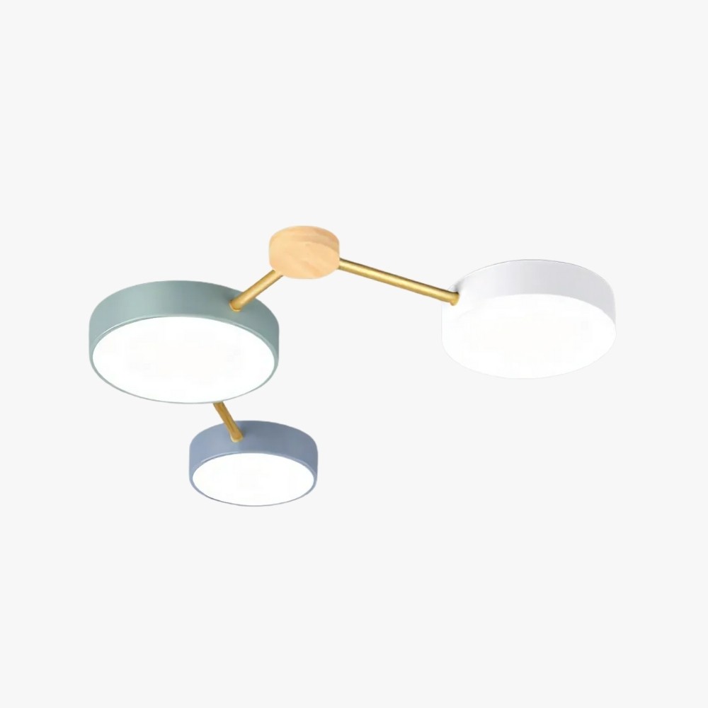 Modern Branch Circular Led Ceiling Lamp K933