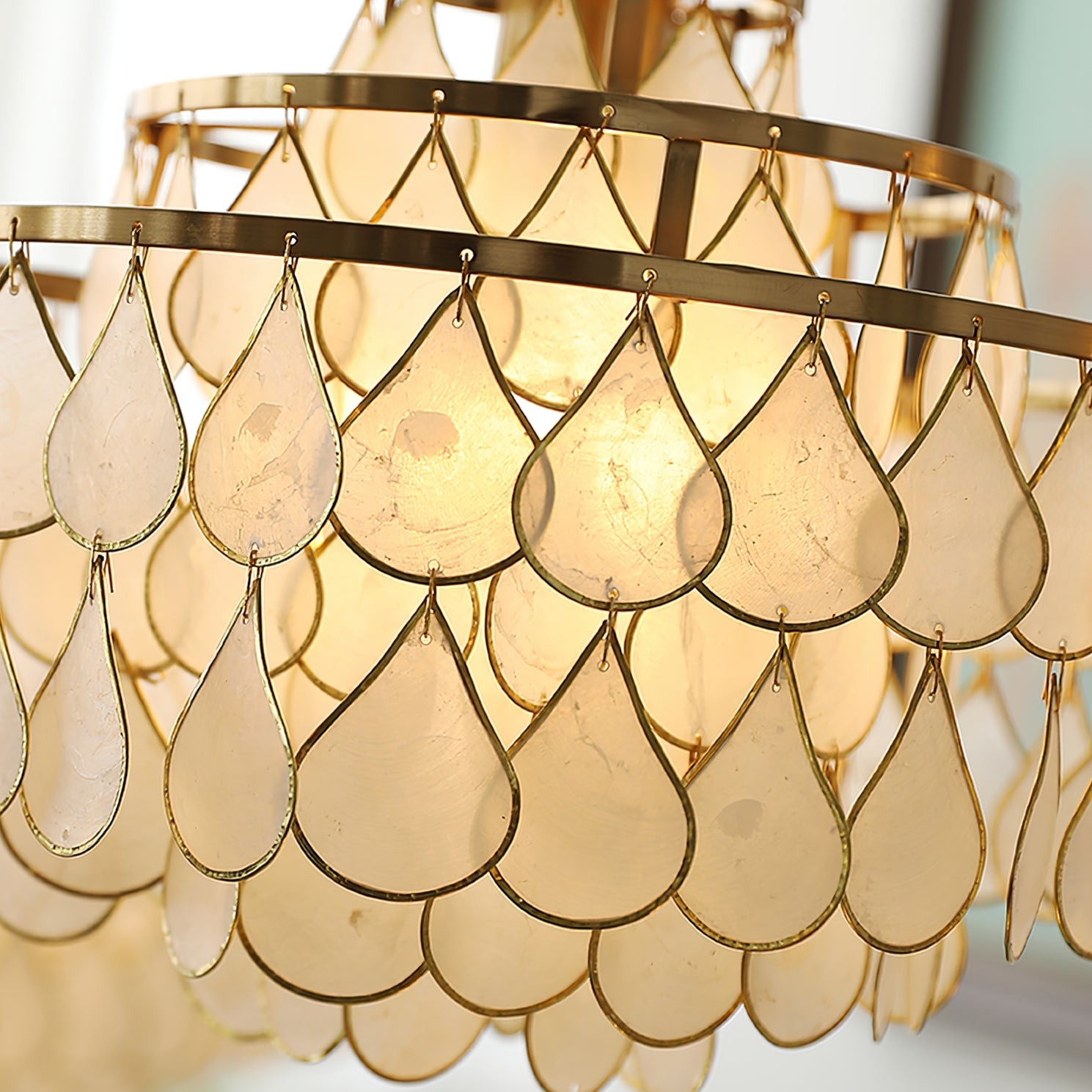 Vivant Shell Pendant Lamp K1094