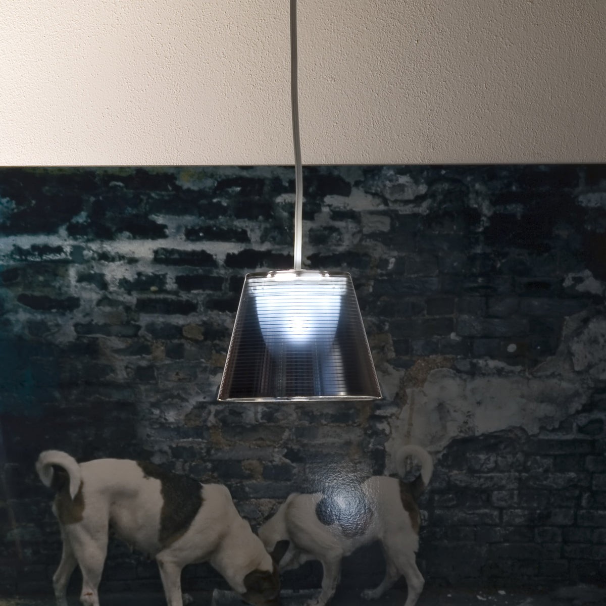 KTribe Suspension Lamp