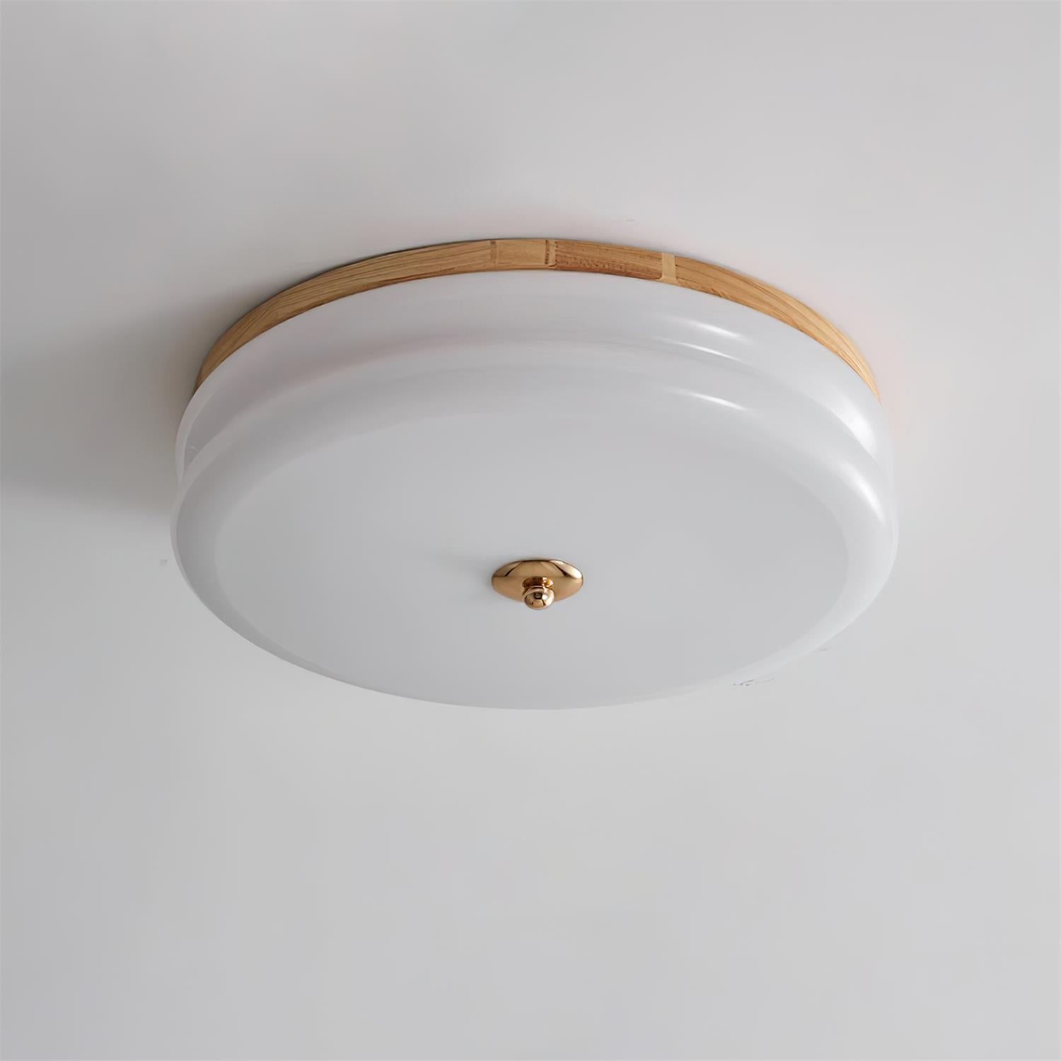 Rowen Ceiling Light D05