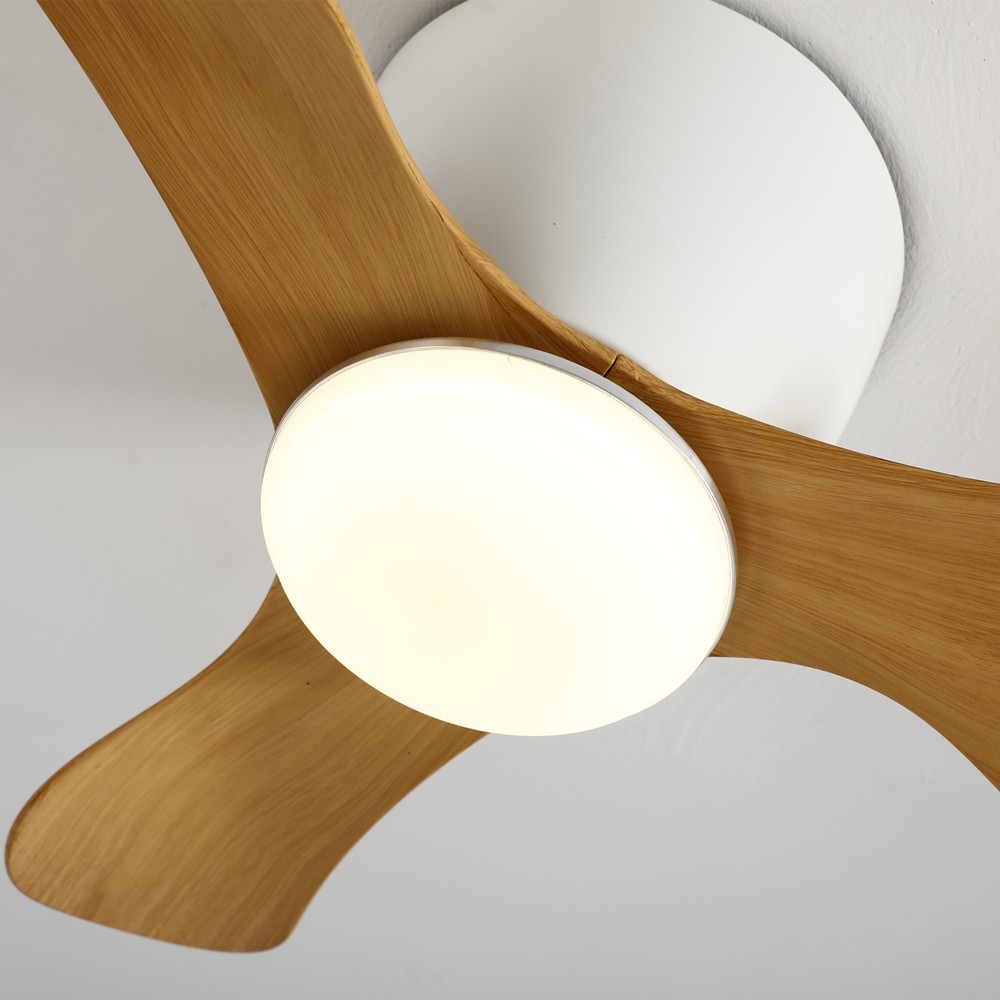 Kiki Nordic Ceiling Fan Lamp