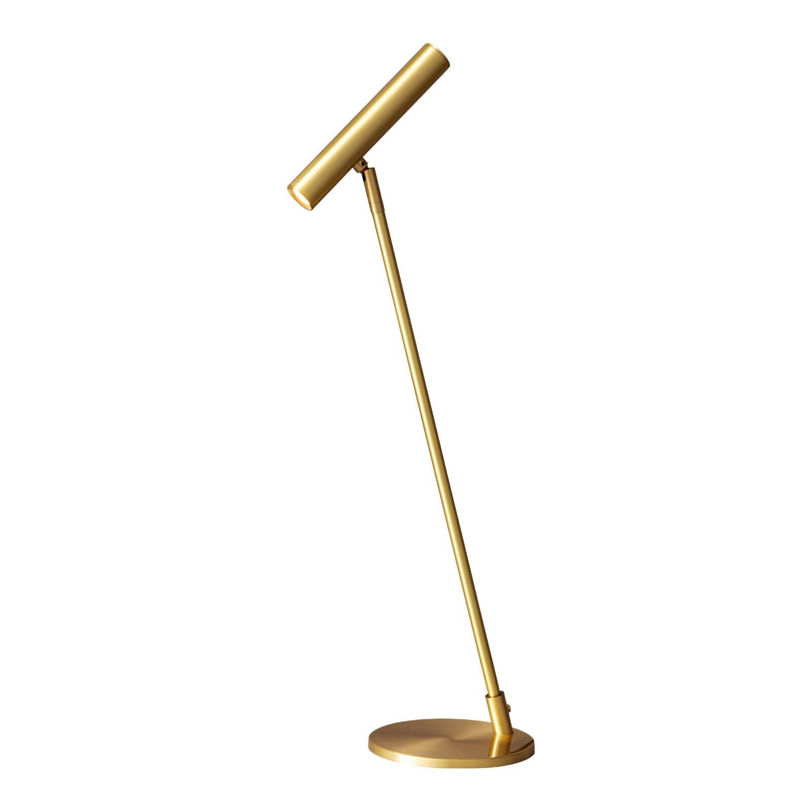 Modern Minimalist Brass Adjustable LED Floor Lamp K707