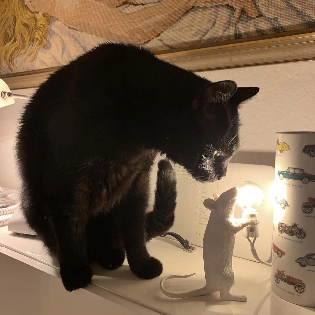 Mouse Lamp