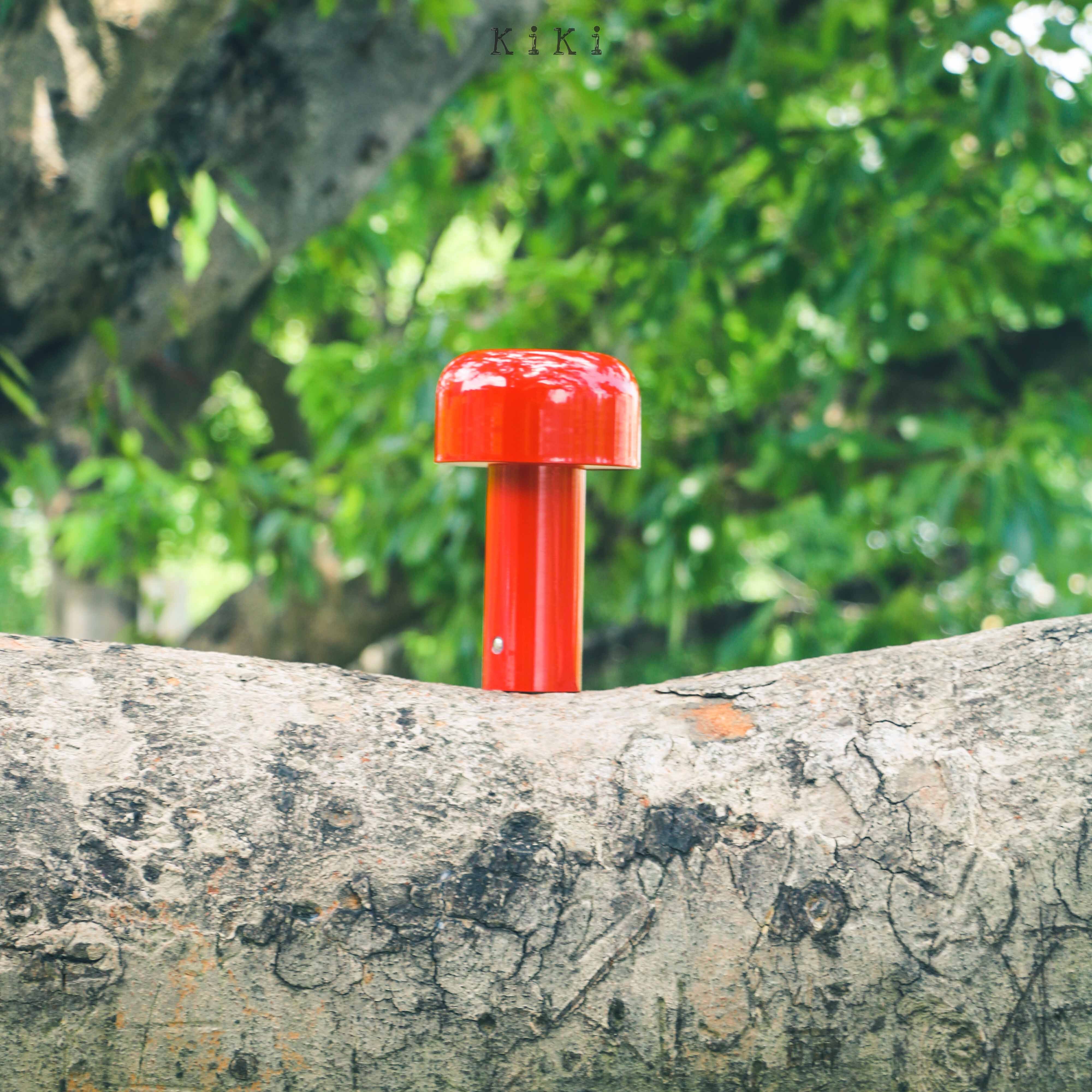 Colorful Mushroom Table Lamp