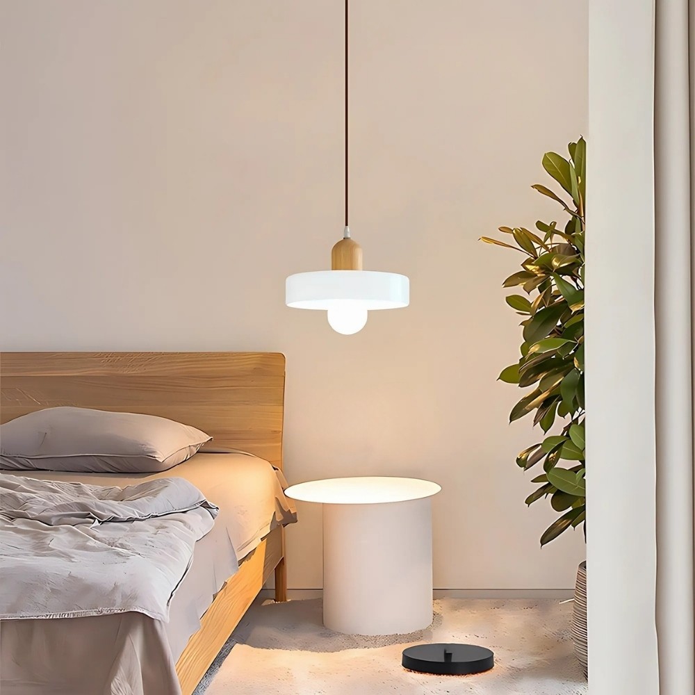 Modern Nordic Wood Disc Orb Pendant Light K894