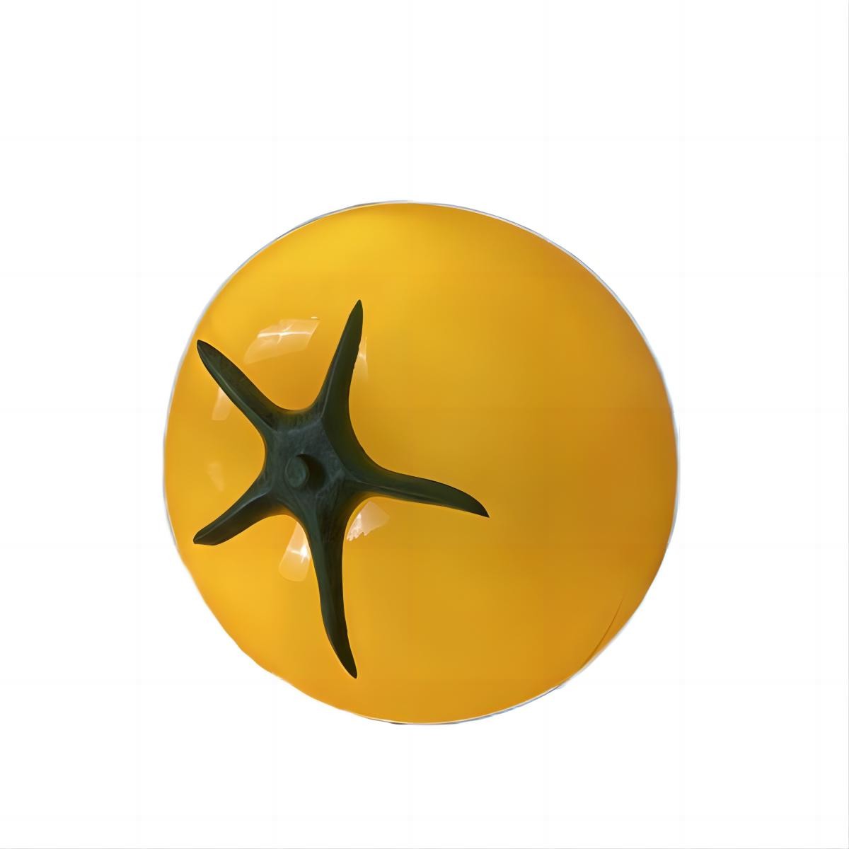 Modern Creative Design Tomato Lamp K52