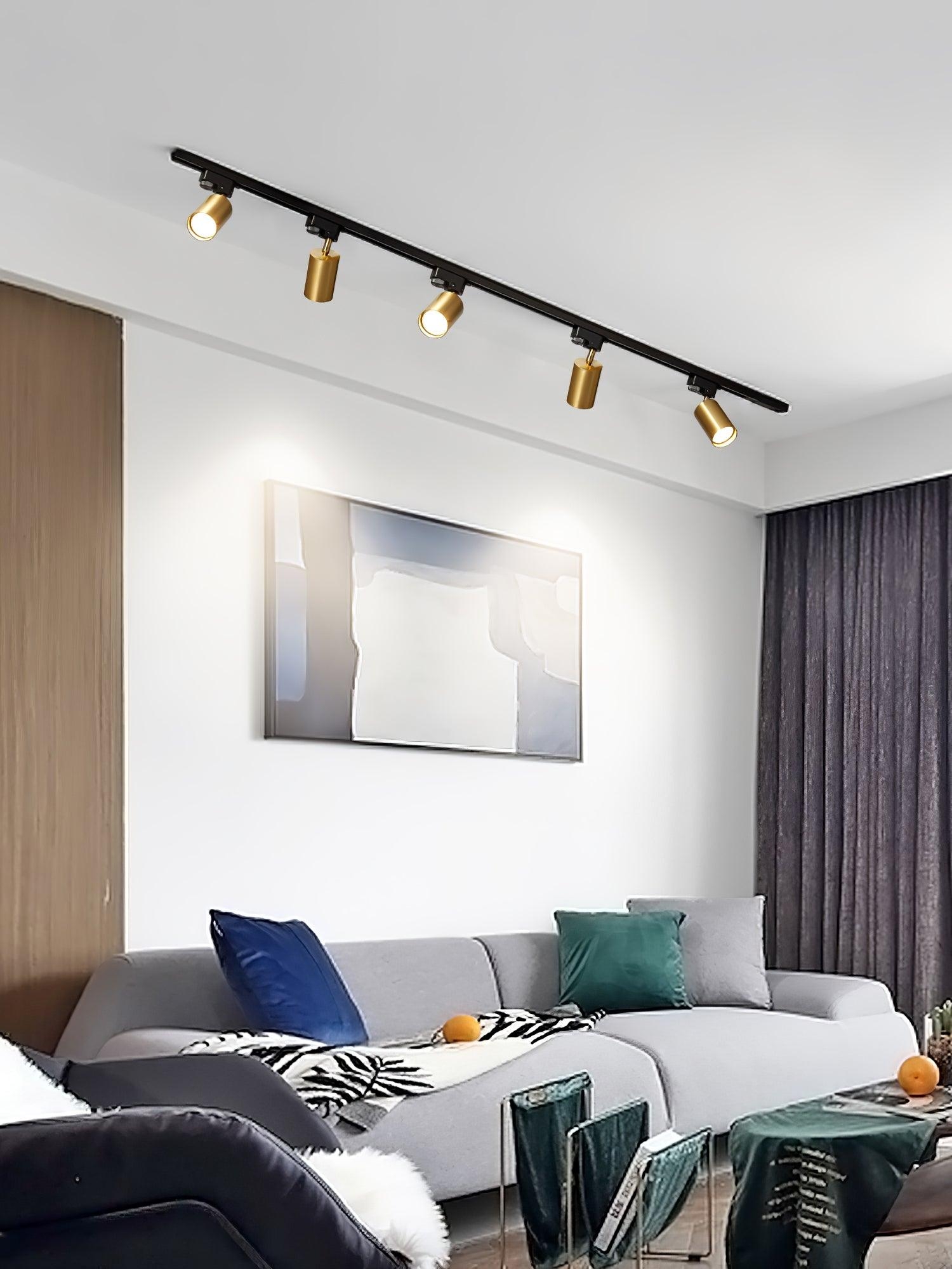 Adjustable Spotlight Track Ceiling Light D379