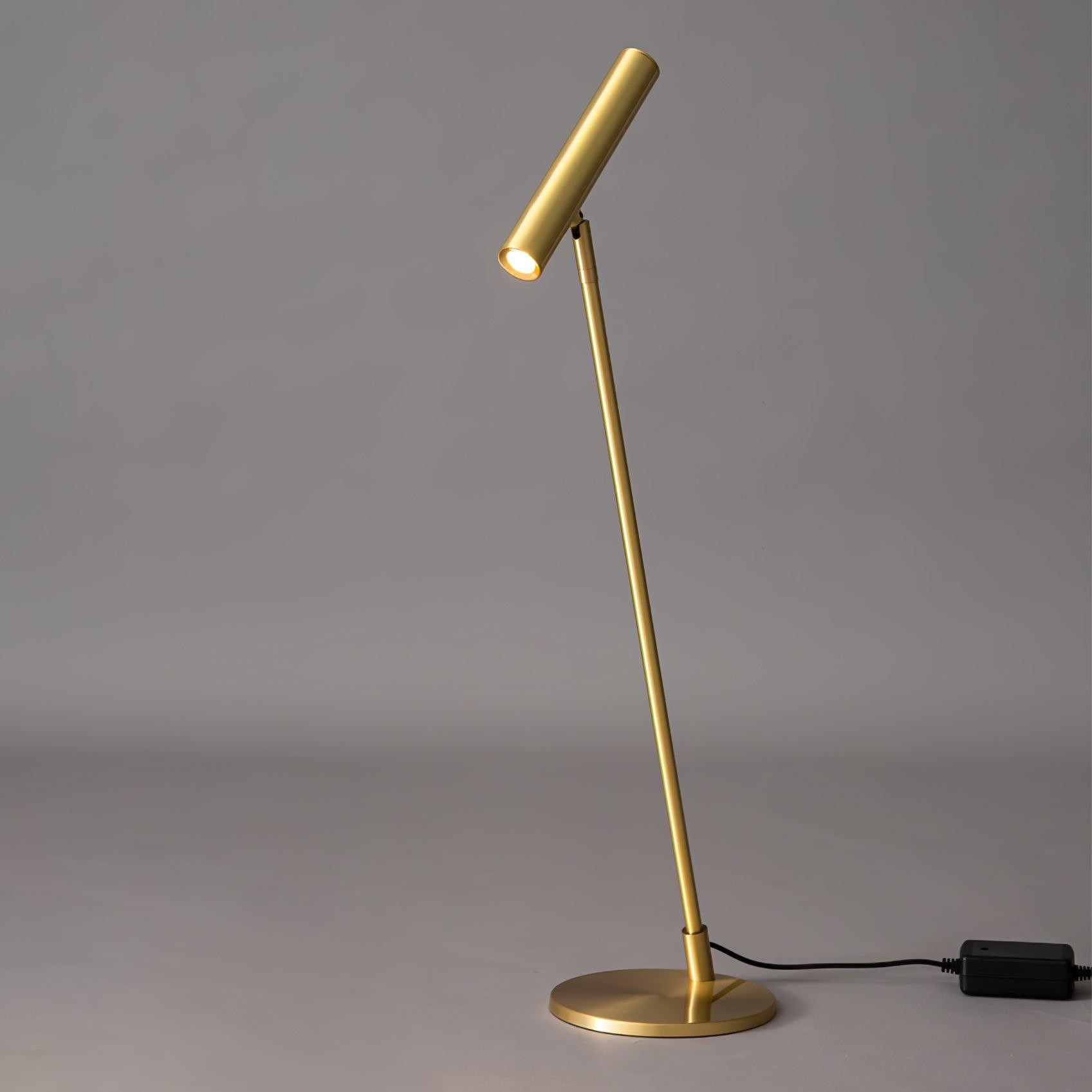 Modern Minimalist Brass Adjustable LED Floor Lamp K707