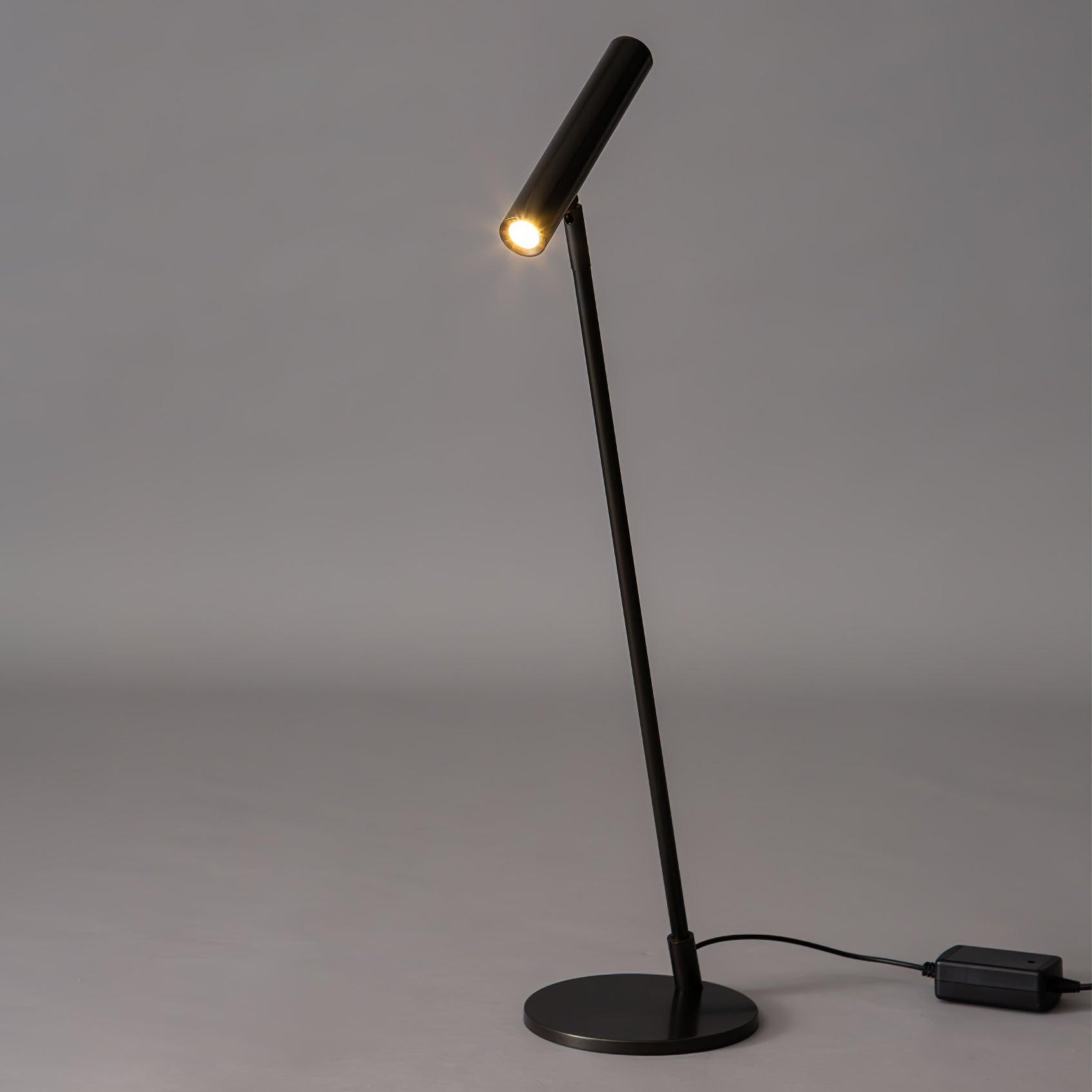 Modern Minimalist Brass Adjustable LED Floor Lamp K707