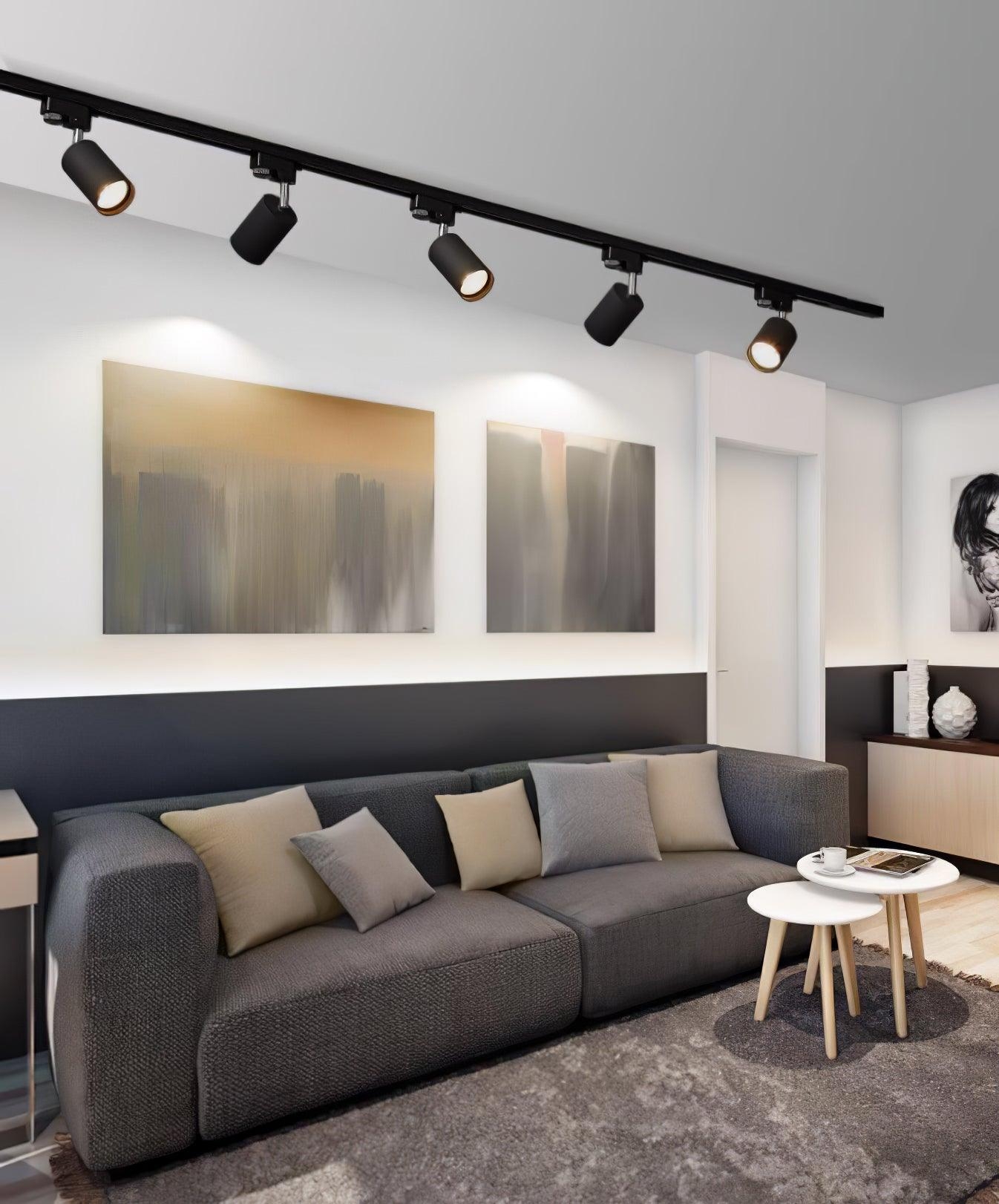 Adjustable Spotlight Track Ceiling Light D379