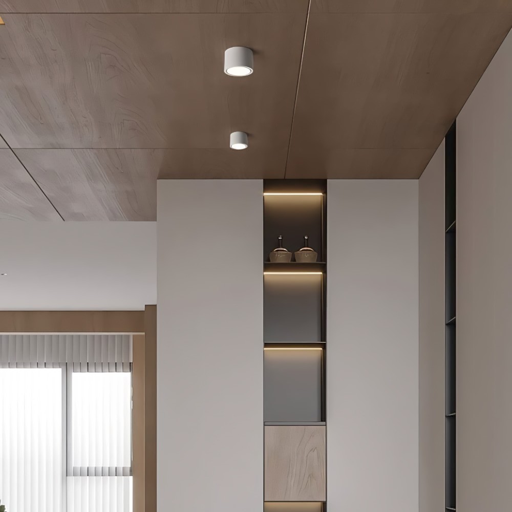 LED Ceiling Light