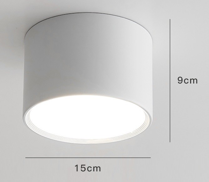 LED Ceiling Light