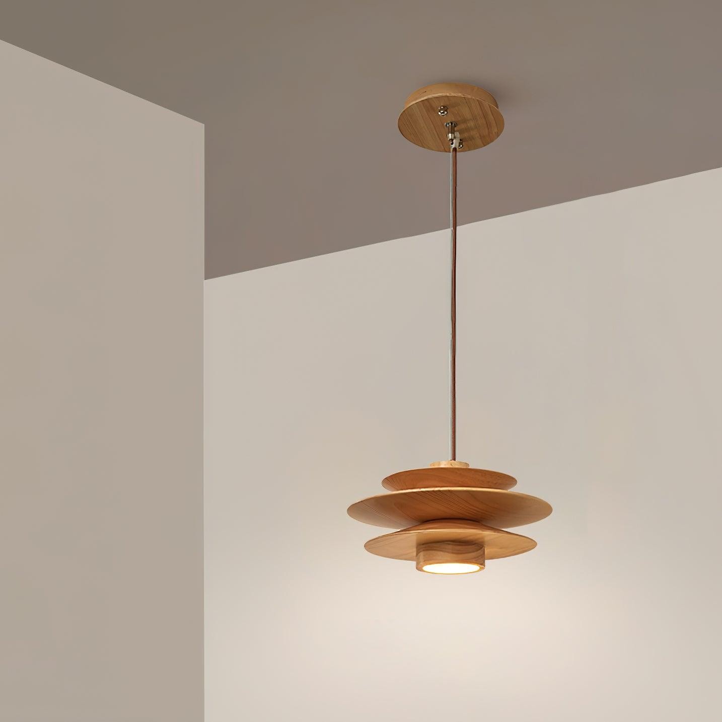 Vintage Pendant Light for Living Room K590