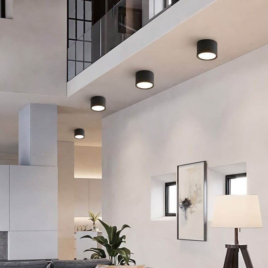 LED Ceiling Light