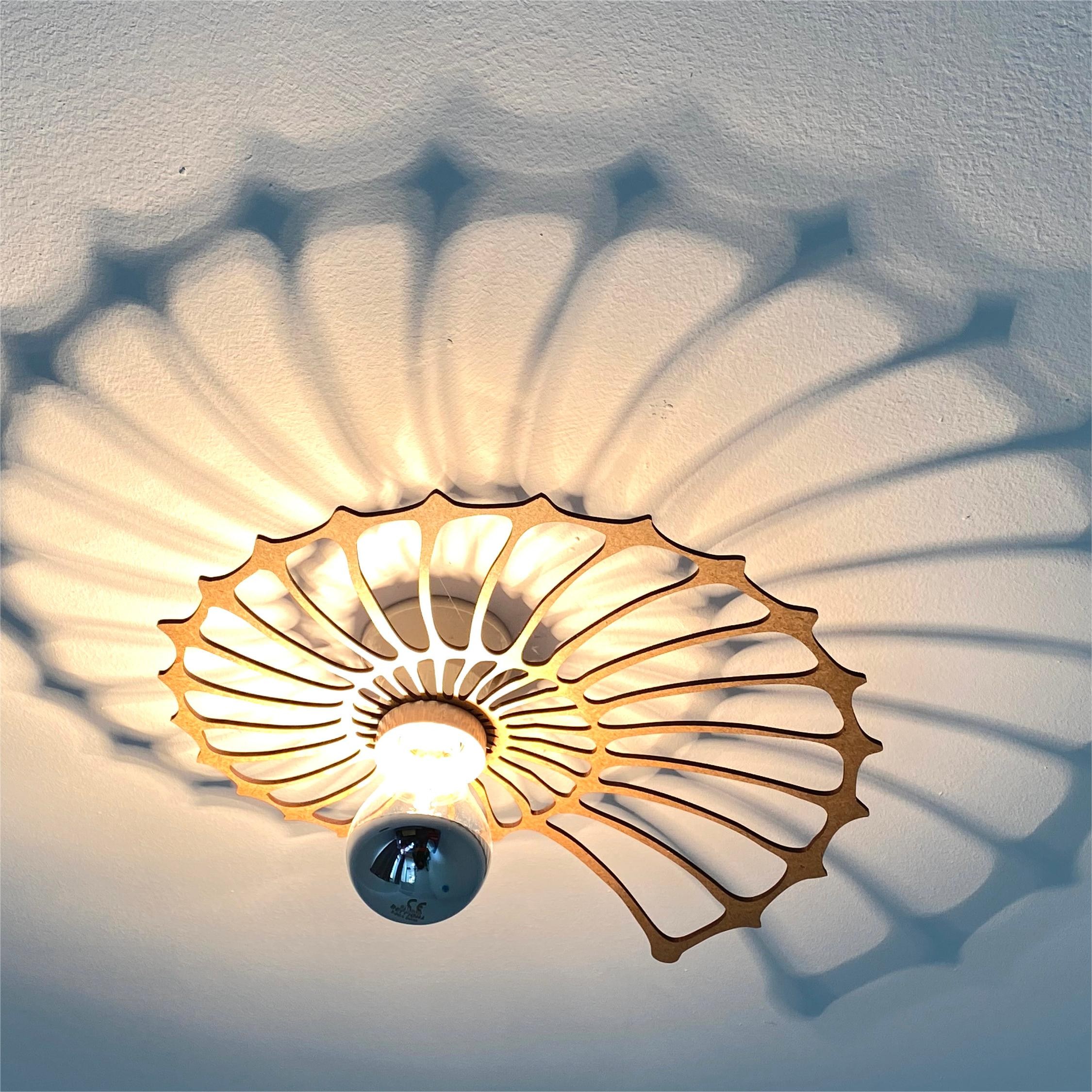 Nautilus Design Decorative LED Wall Light K83