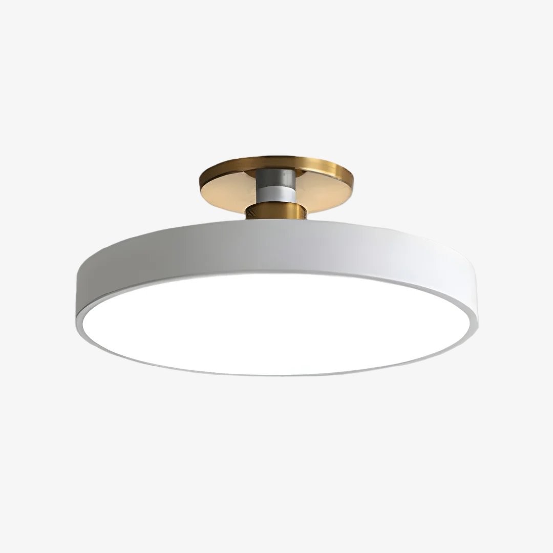 Ceilivon Minimalist Round Ceiling Light for Contemporary Sleek Interior Accent K2094