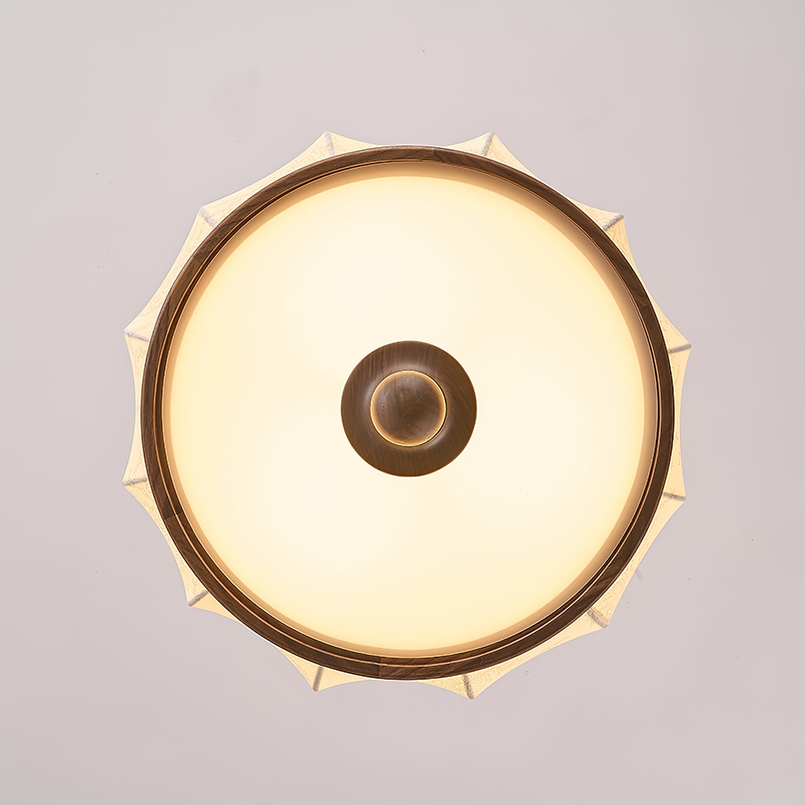 Harmony Pendant Lamp D205