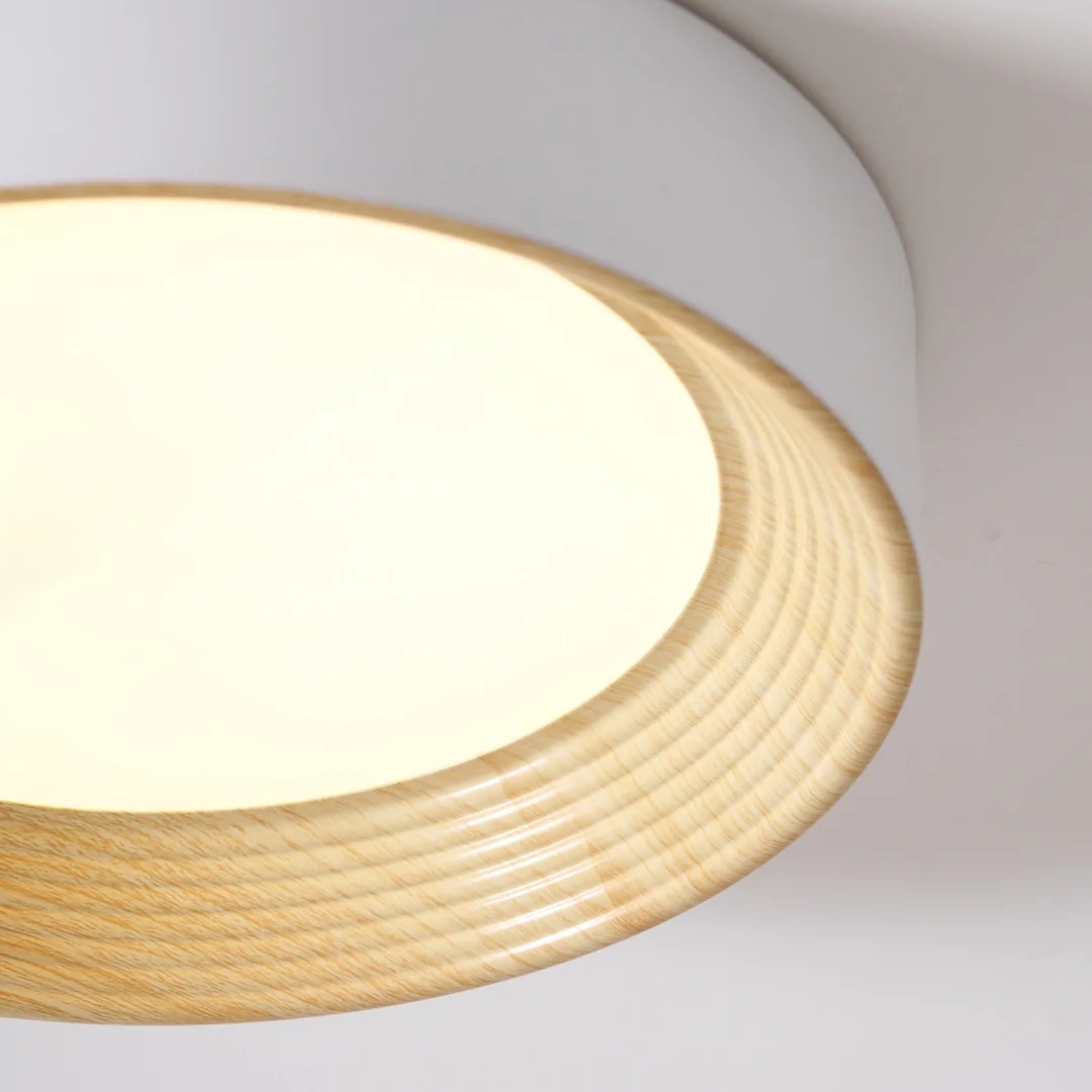 Cedronis Minimalist Ceiling Fixture - Modern Indoor Lighting Solution K2292
