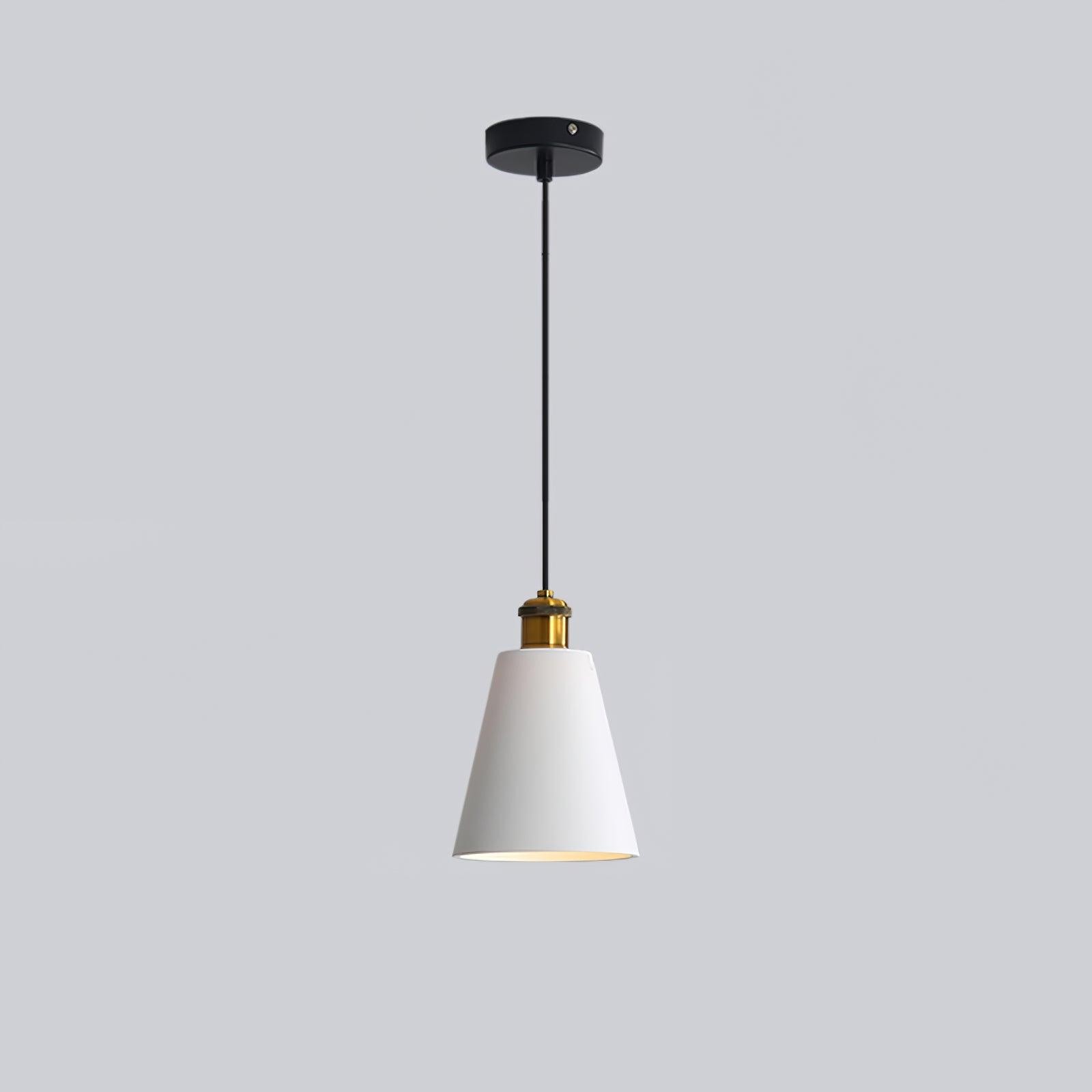 Modern Resin Geometric Pendant Lamp K621