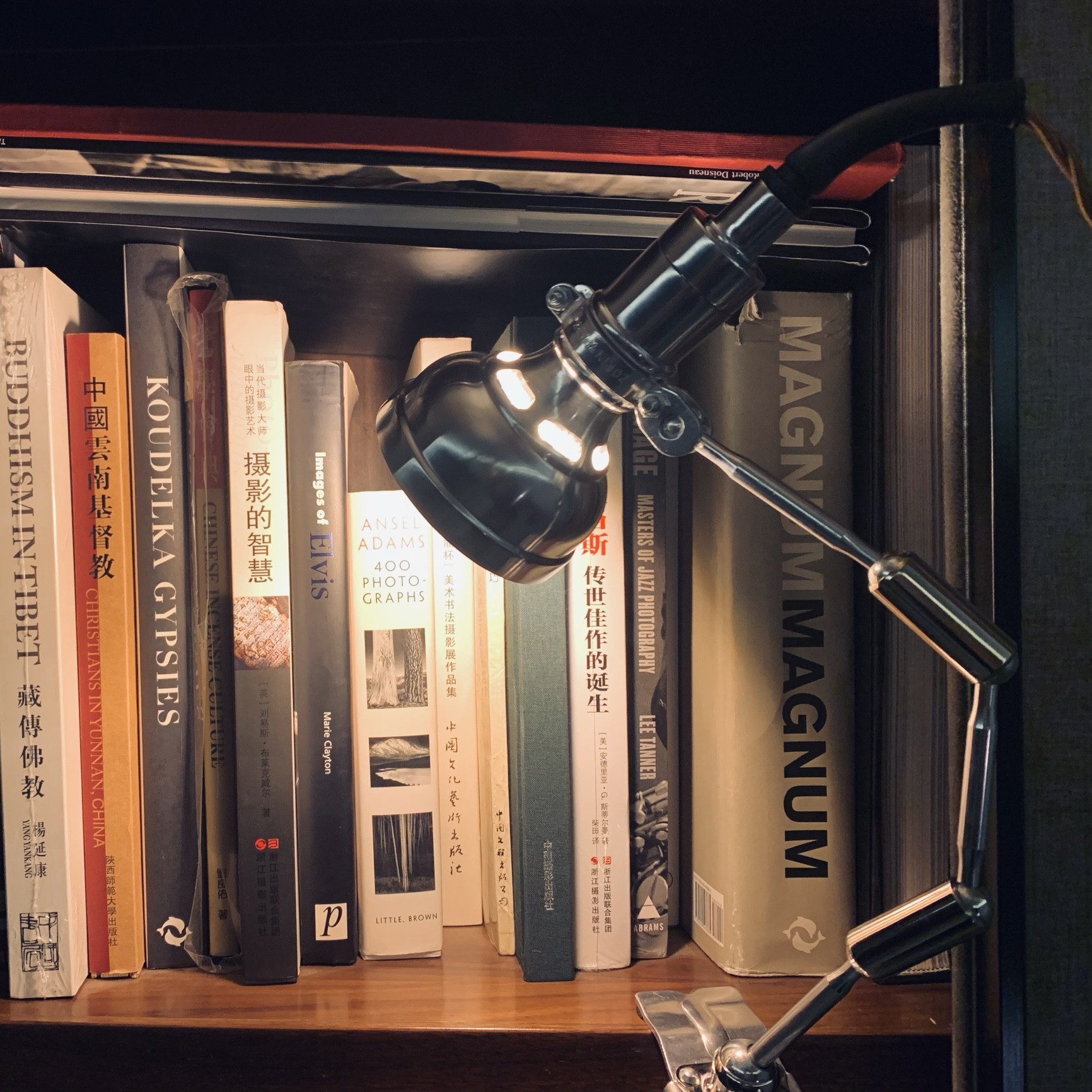 Retro Industrial Clip Light