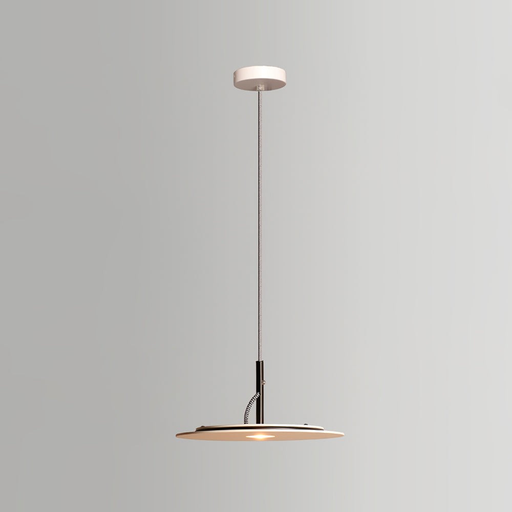 Eaves Pendant Lamp K1012