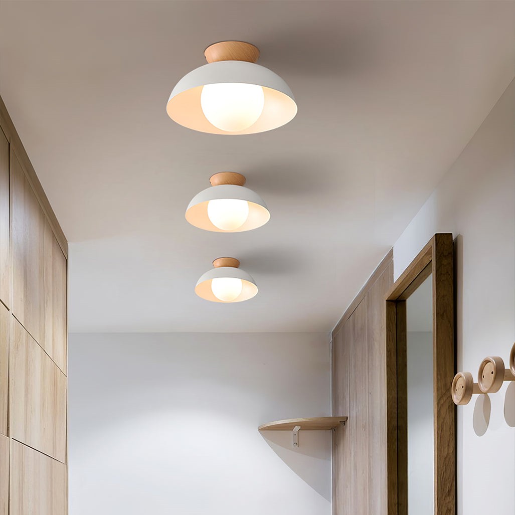 Scandinavian Iron Bowl Energy Efficient Ceiling Light K143