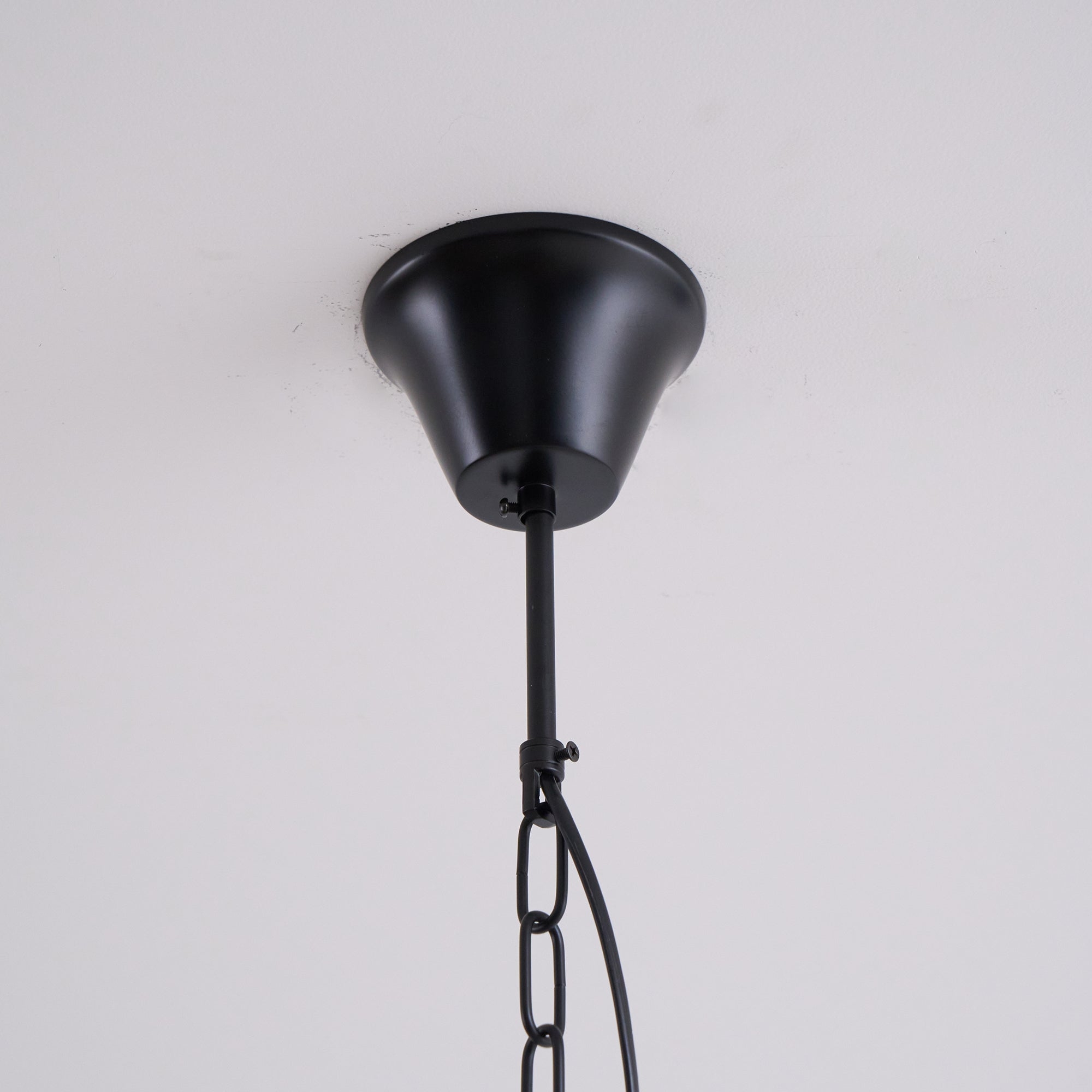 Braeden Pendant Light D533