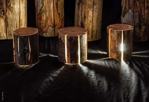 Cracked Stump Lamp