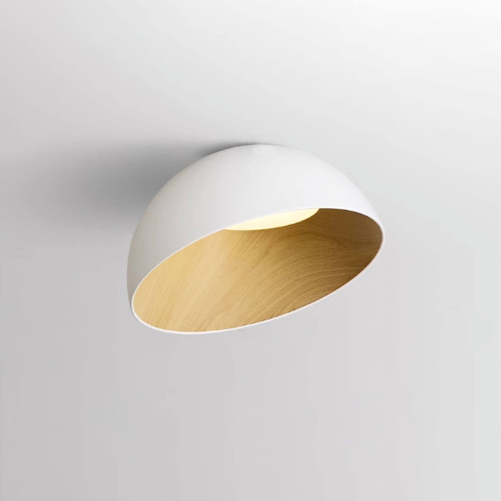 Simple Modern Nordic LED Eggshell Ceiling Lamp K360
