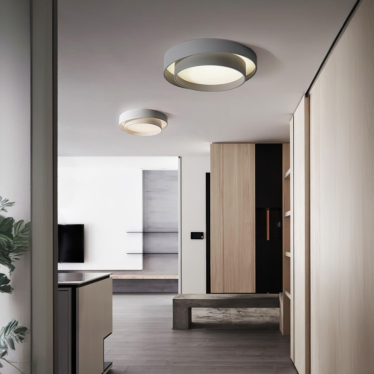 Modern Minimalist Melody Disc Ceiling Light K47