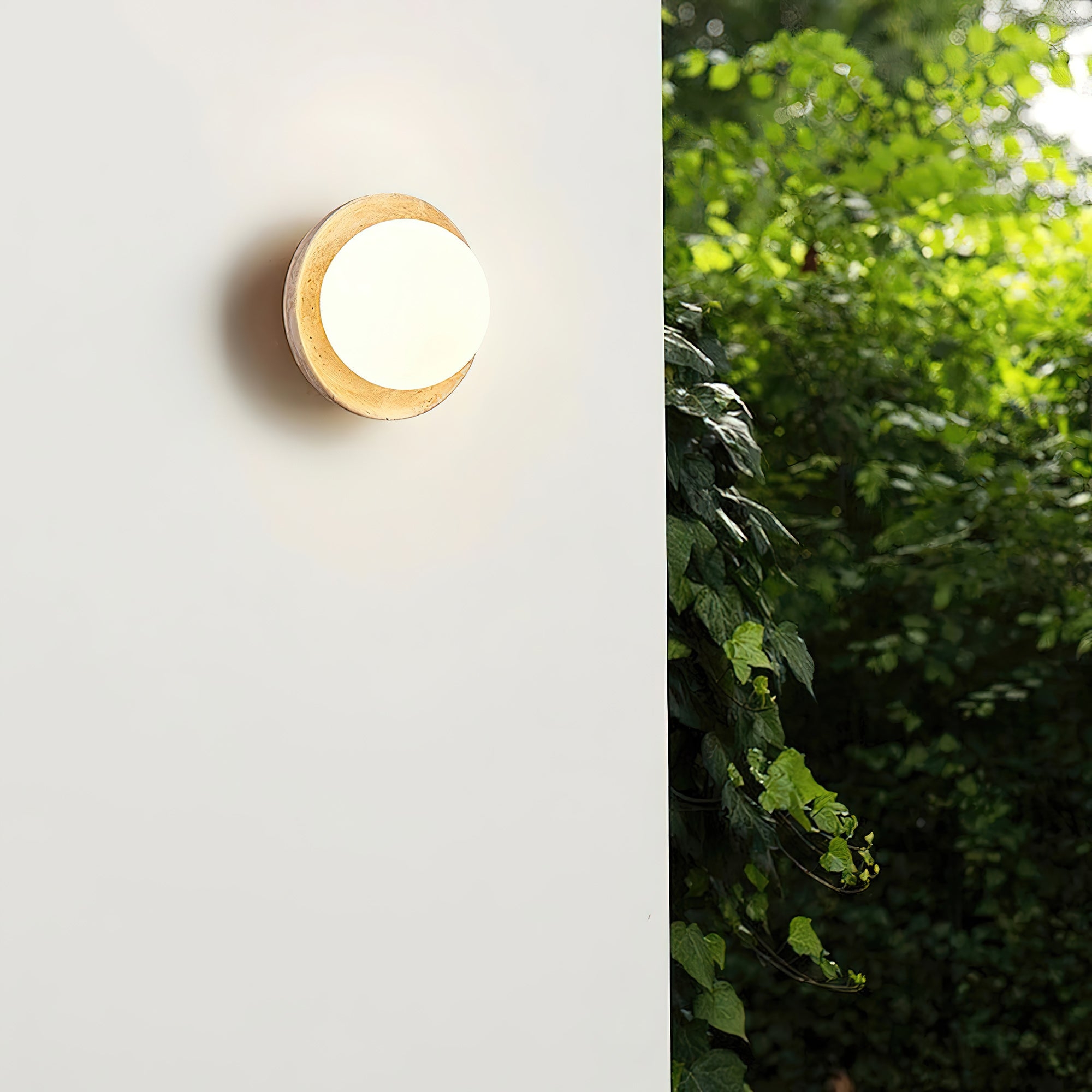 Eala Wall Lamp D656