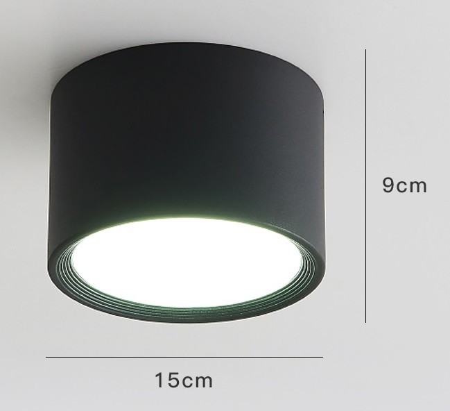 LED Ceiling Light