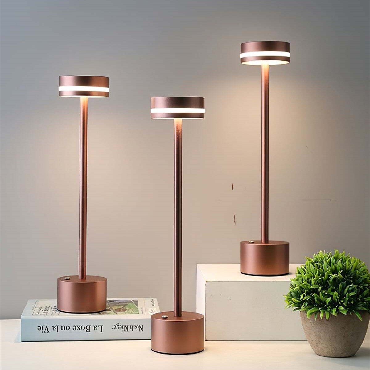 Frisbee Portable Touch Cordless LED Desk Lamp K63