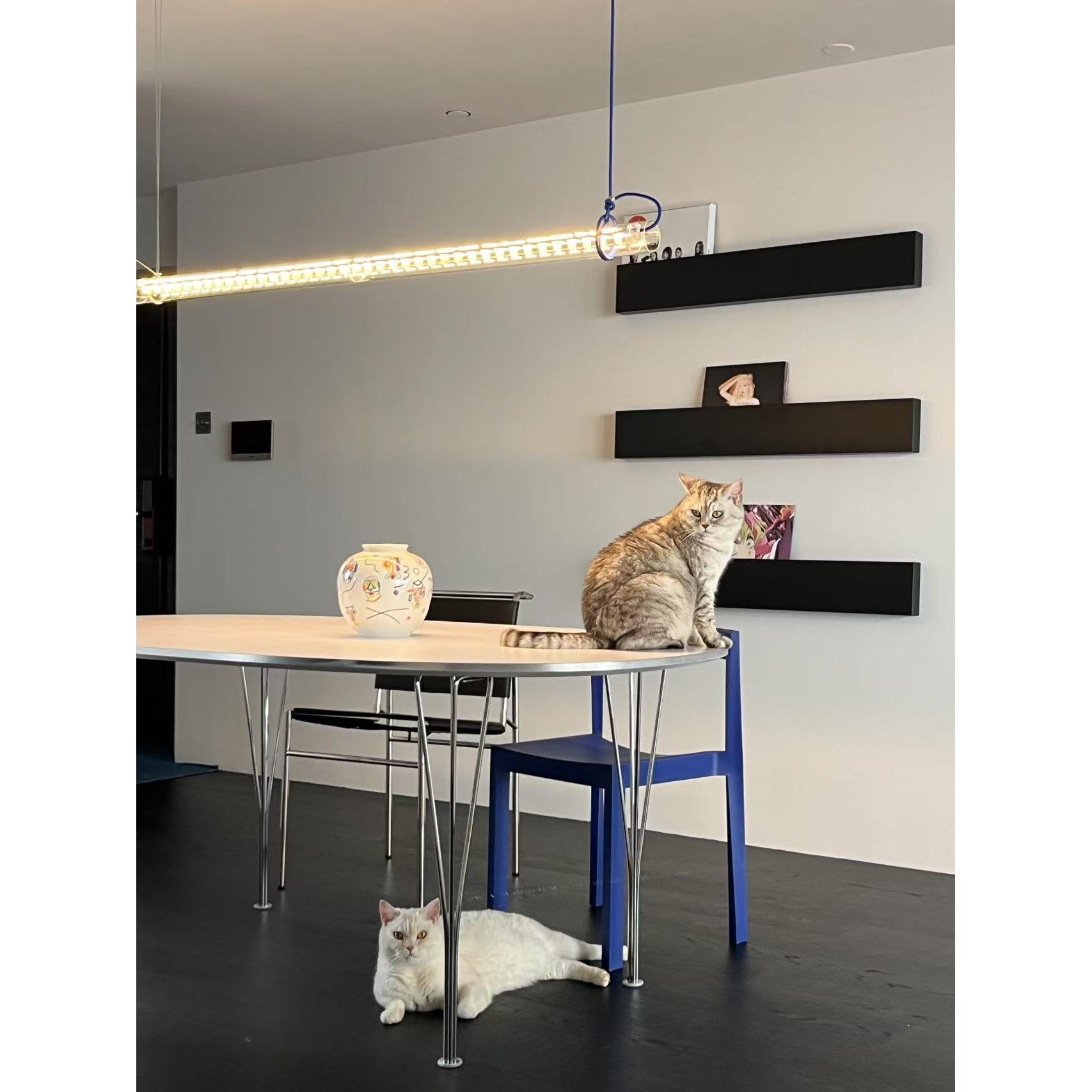 Tubular Linear LED Pendant Lamp D696