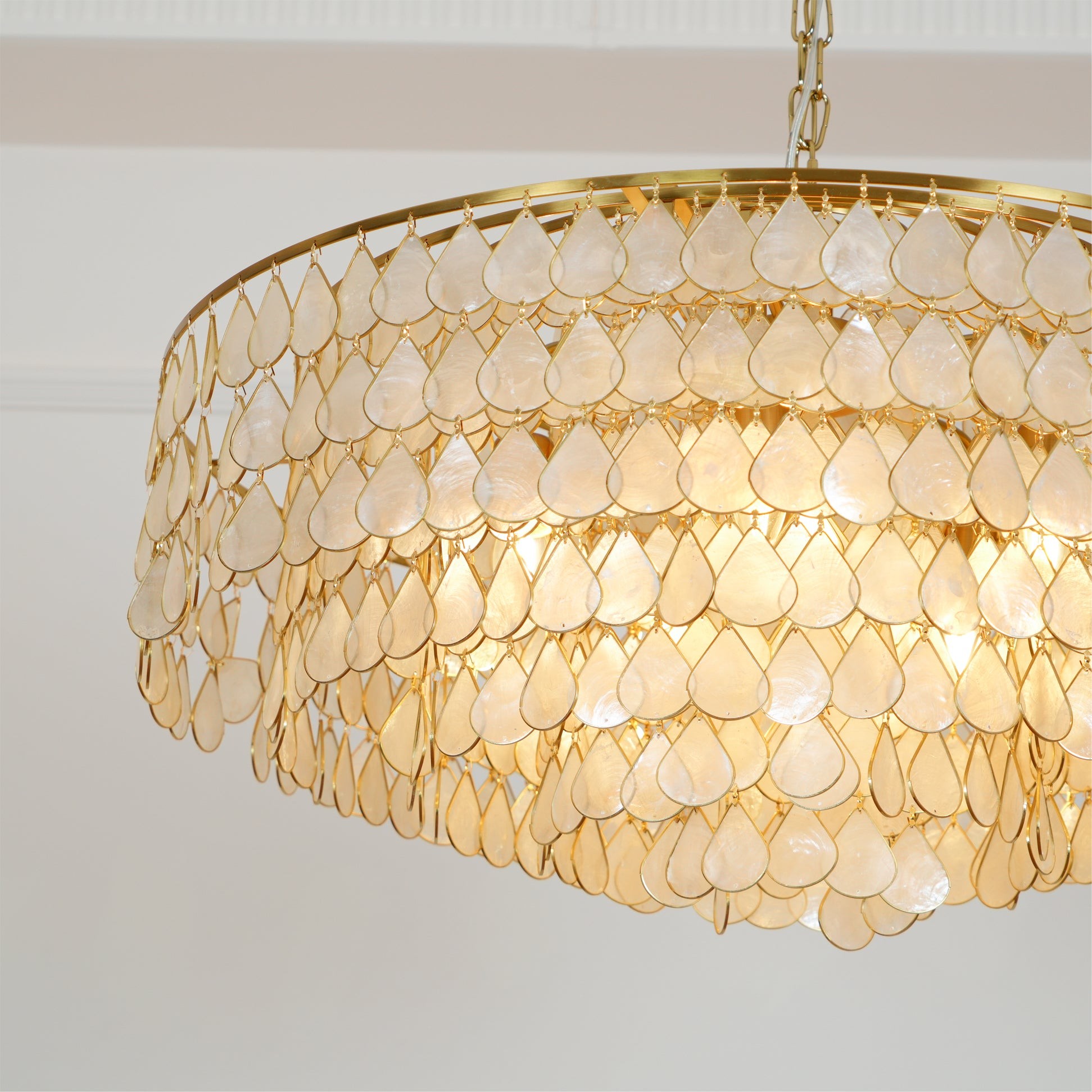 Vivant Shell Pendant Lamp K1094