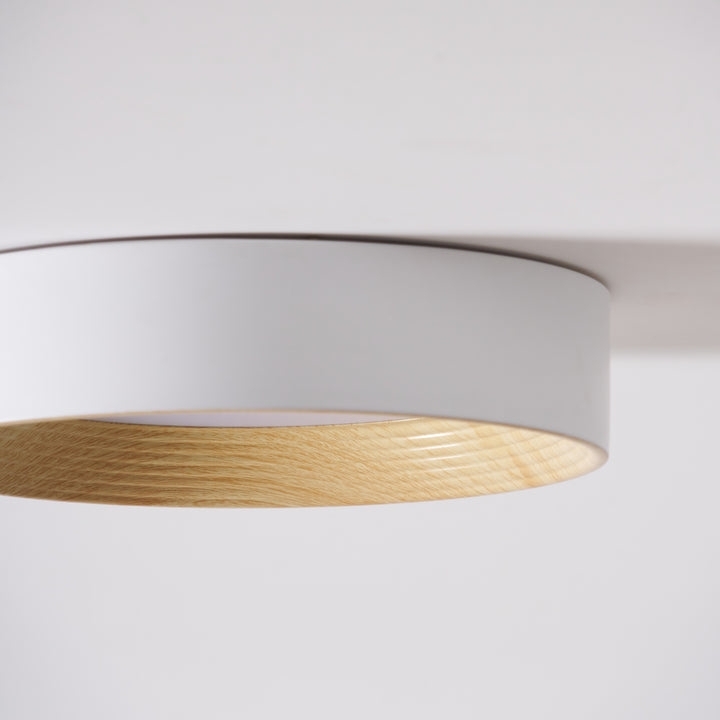 Cedronis Minimalist Ceiling Fixture - Modern Indoor Lighting Solution K2292