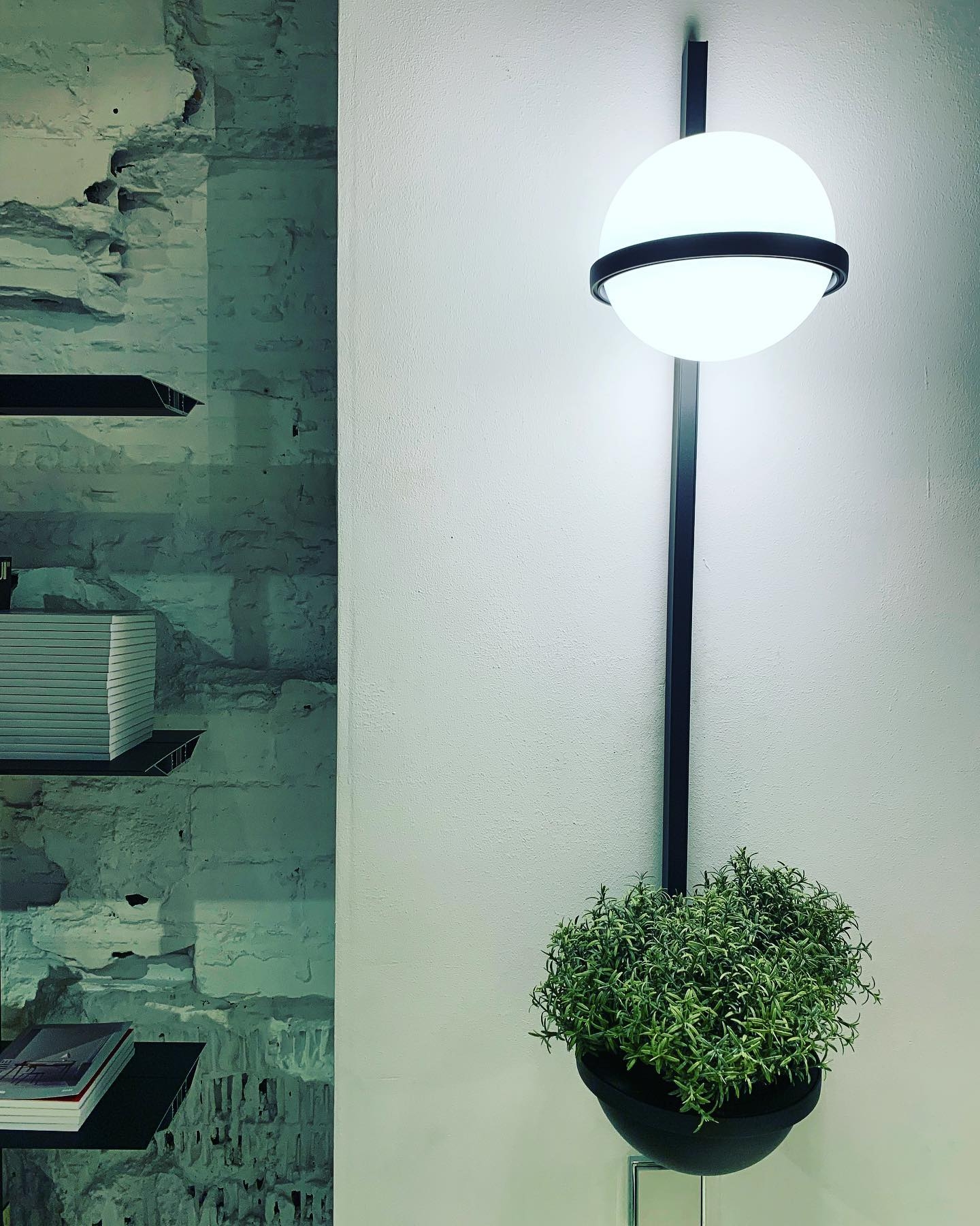 Palma Wall Lamp D509
