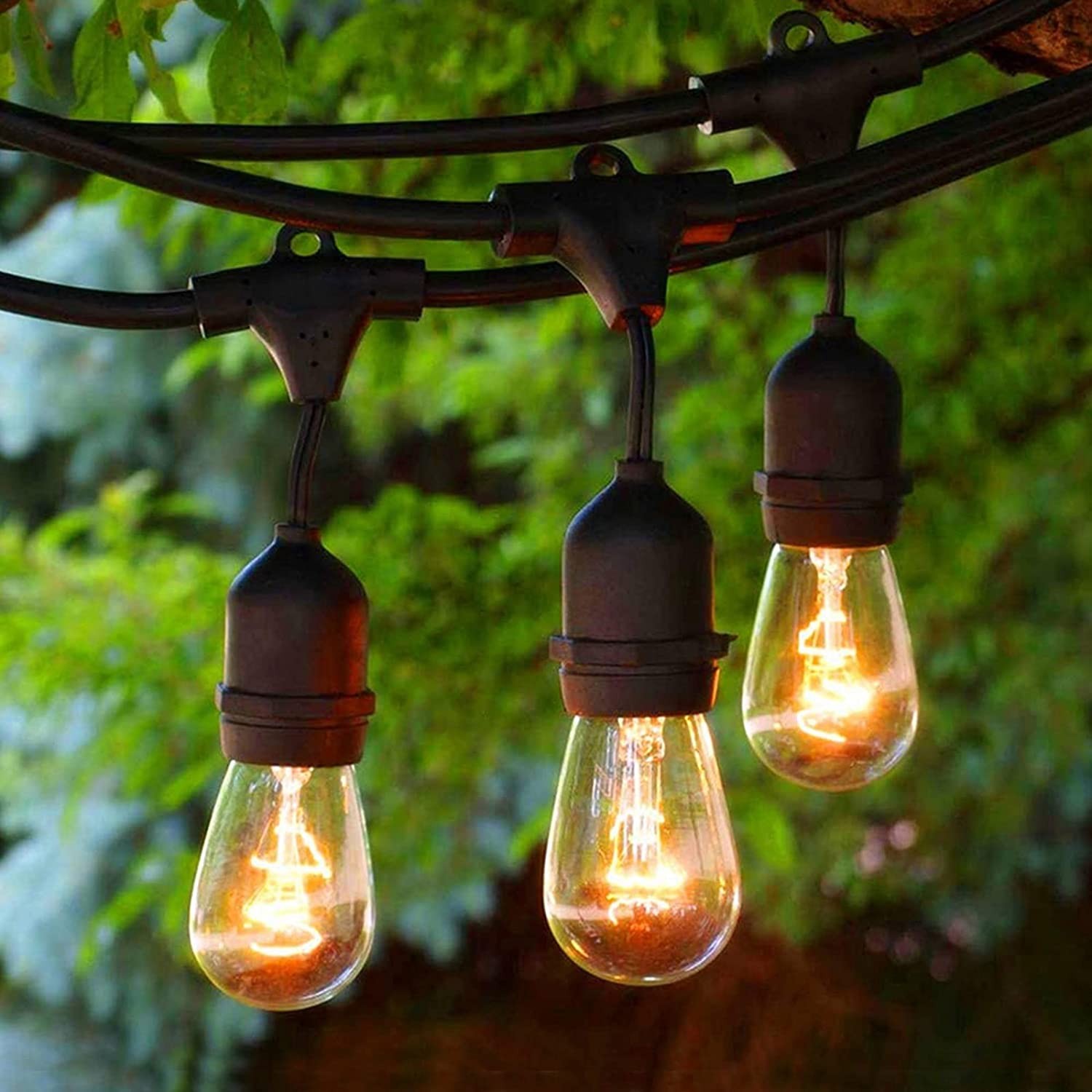 S14 Outdoor String Lights
