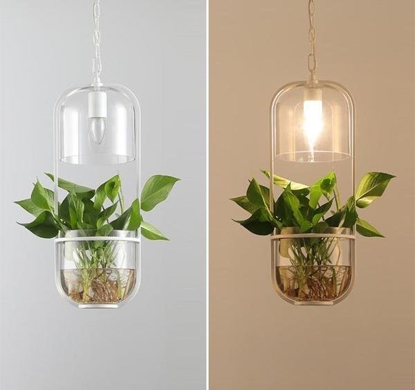 Water Plants Glass Pendant Light