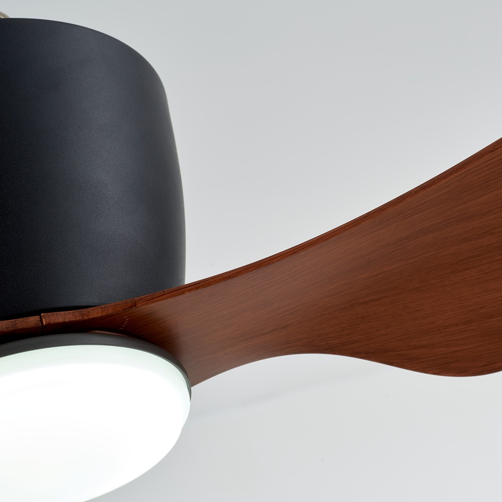 Kiki Nordic Ceiling Fan Lamp