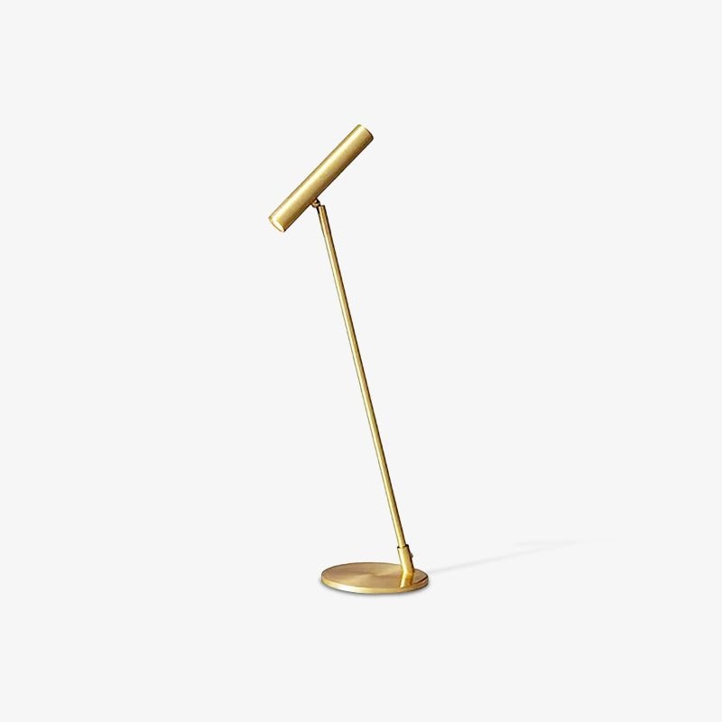 Modern Minimalist Brass Adjustable LED Floor Lamp K707