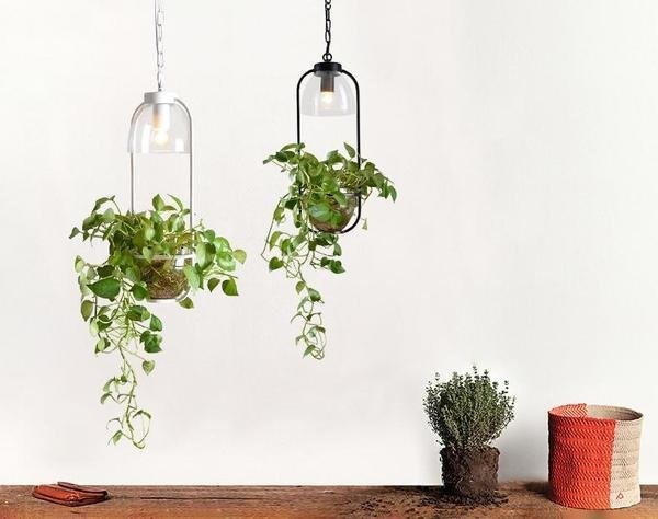 Water Plants Glass Pendant Light