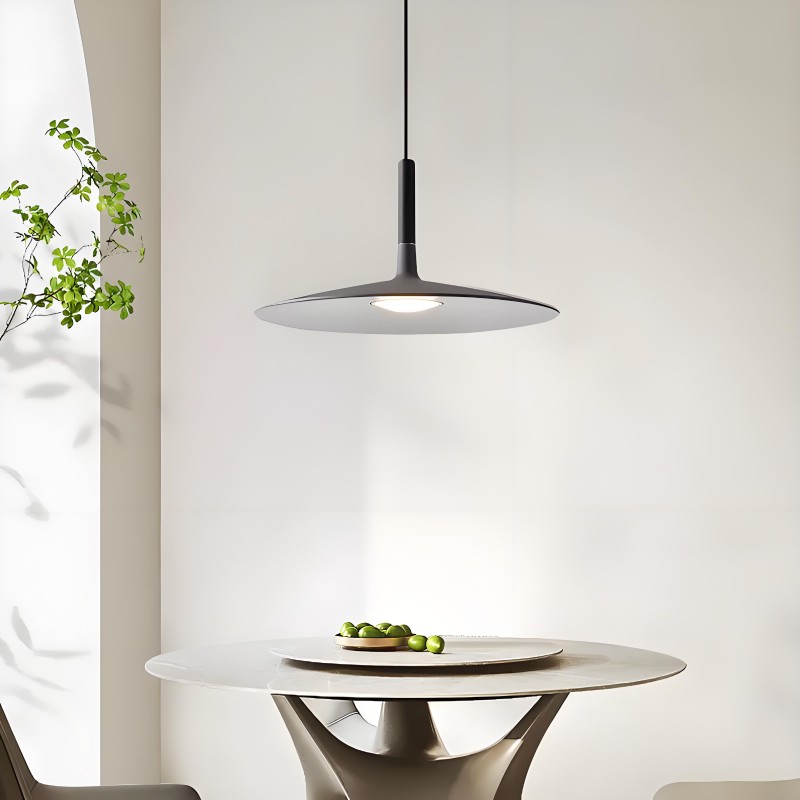 Vibrant Aplomb Large Pendant Light - Stylish Round Disc Pendan Light for Modern Interiors