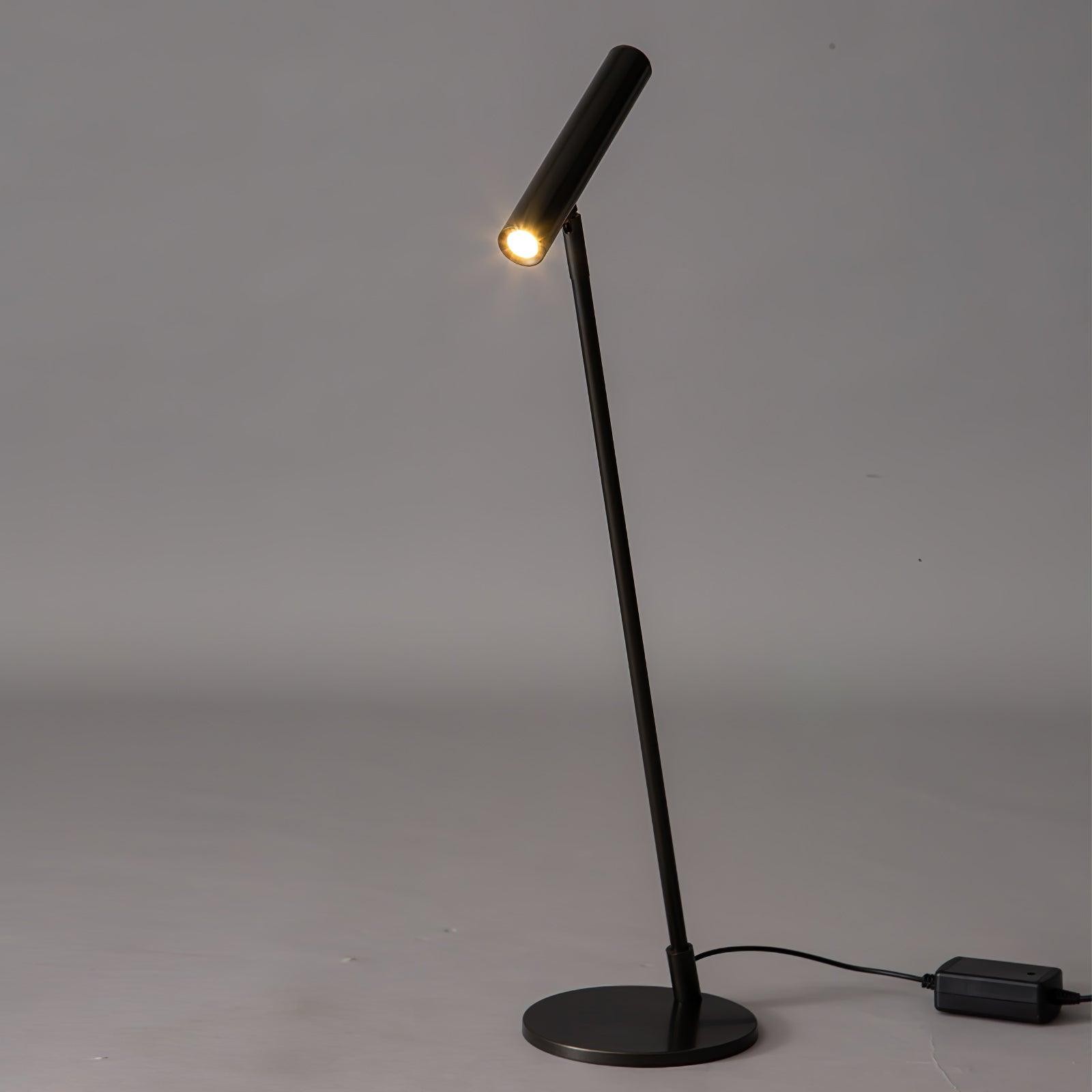 Modern Minimalist Brass Adjustable LED Floor Lamp K707