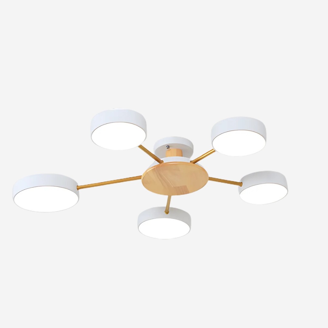 Nordic Multi Heads Round Led Ceiling Light K934