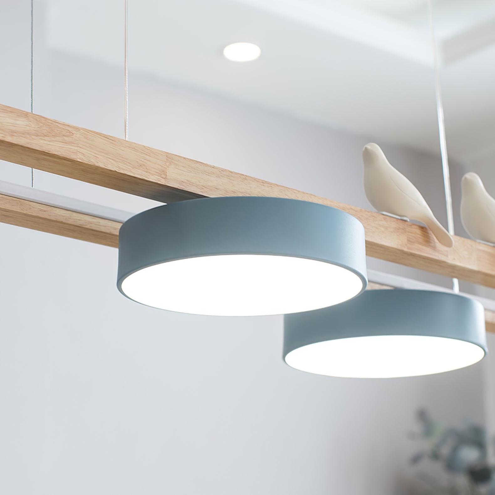 New Style Fashion Bird Long Chandelier K663