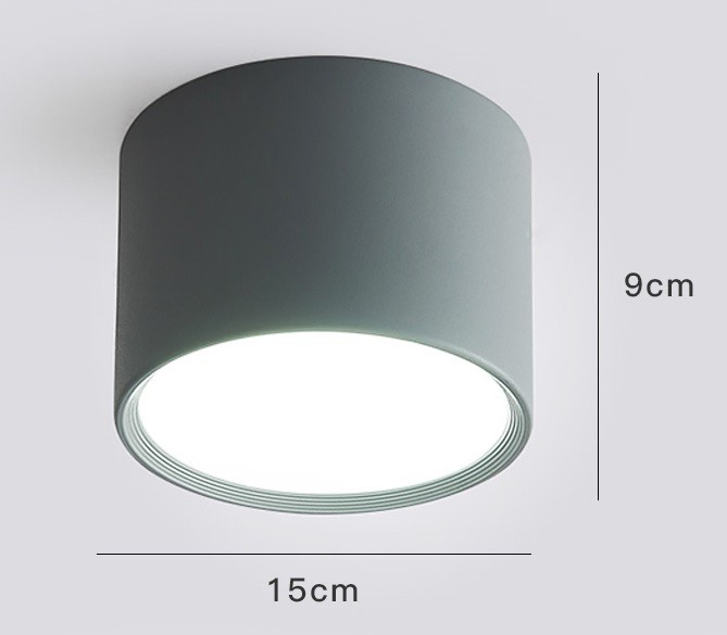 LED Ceiling Light